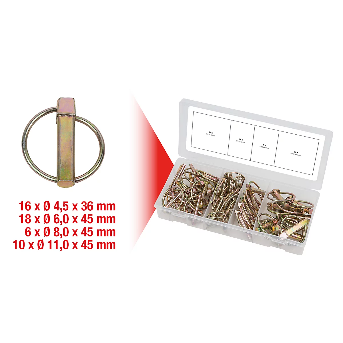 Metall-Splint mit Ring, daneben eine Sortimentsbox mit vielen Splinten. Darunter Größenangaben in mm.